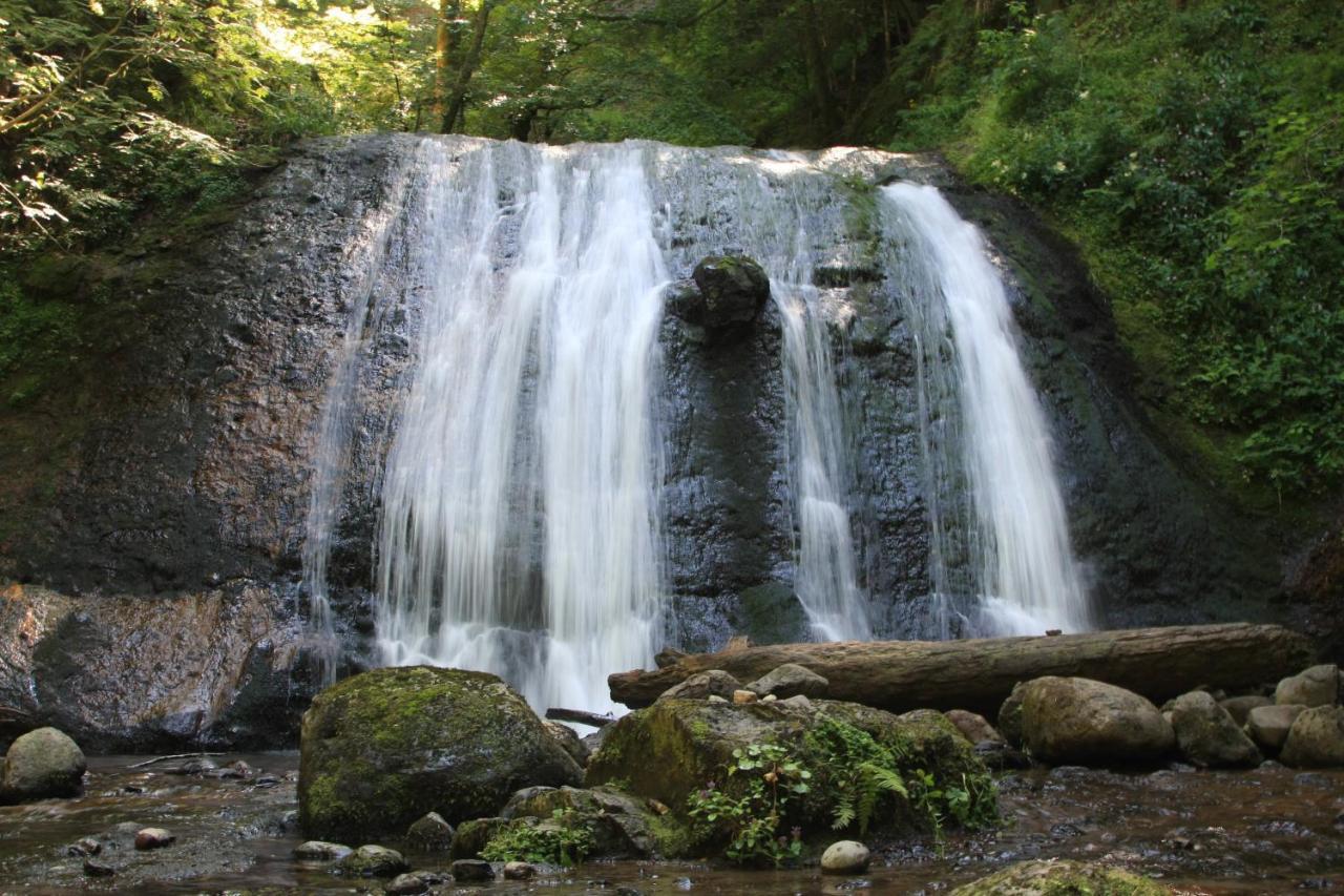 Camping Les Vernieres La Bourboule Sancy エクステリア 写真