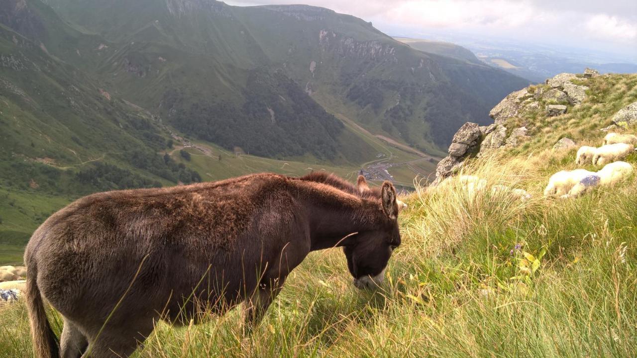 Camping Les Vernieres La Bourboule Sancy エクステリア 写真