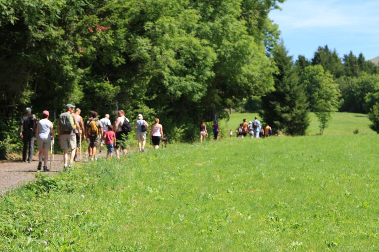 Camping Les Vernieres La Bourboule Sancy エクステリア 写真